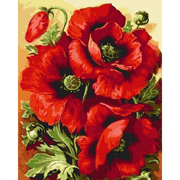 Bright Red Poppies Closeup - Painting by Numbers Canada