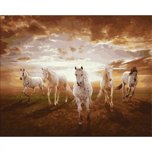 Five White Running Horse PBNA-625 - Painting by Numbers Canada
