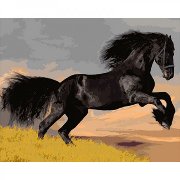Black Horse - Painting by Numbers Canada