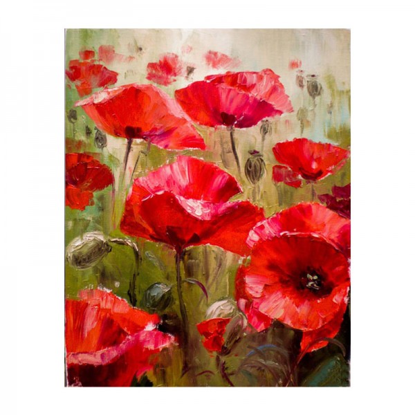 Red Flowers - Painting by Numbers Canada