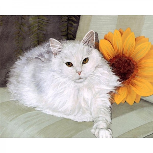 White Cat - Painting by Numbers Canada