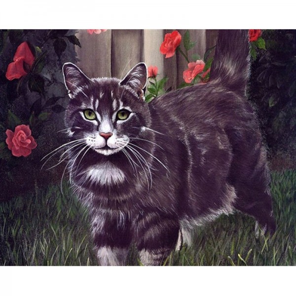 Black Cat - Painting by Numbers Canada