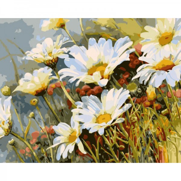 Flower Daisy - Painting by Numbers Canada