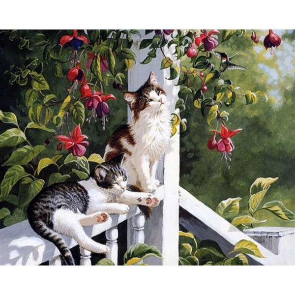 Cats & Hummingbirds - Painting by Numbers Canada
