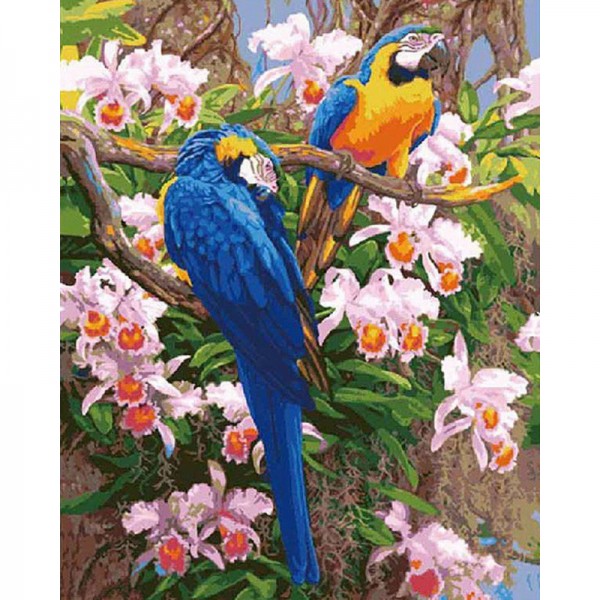 Birds & Flowers - Painting by Numbers Canada
