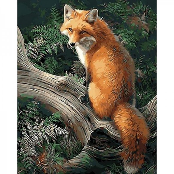 Fox - Painting by Numbers Canada