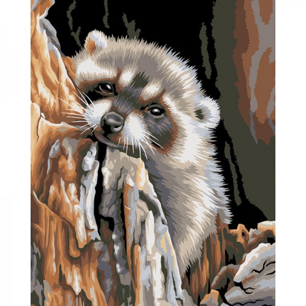 Raccoon - Painting by Numbers Canada