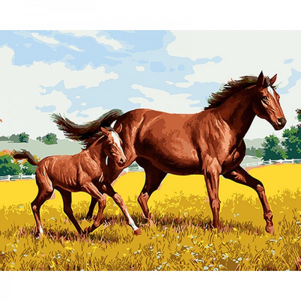 Brown Horse and Pony in middle of Grassfield - Painting by Numbers Canada