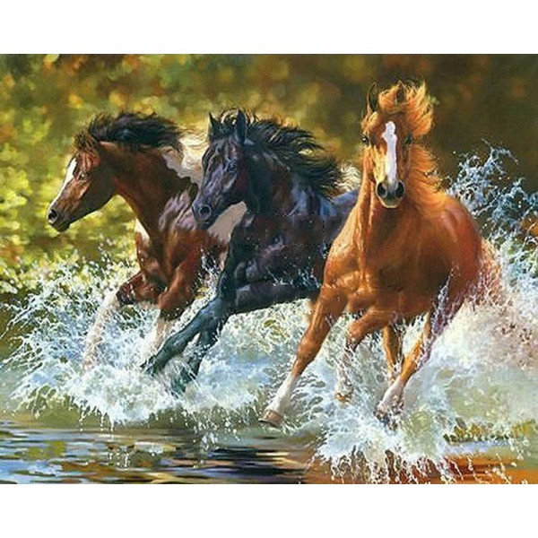 Running Horses - Painting by Numbers Canada