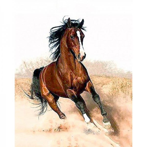 Horse - Painting by Numbers Canada