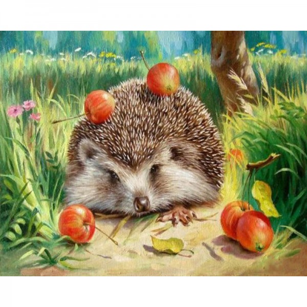 Hedgehog - Painting by Numbers Canada