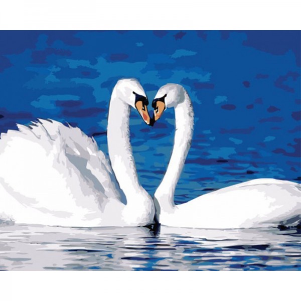 Swans - Painting by Numbers Canada