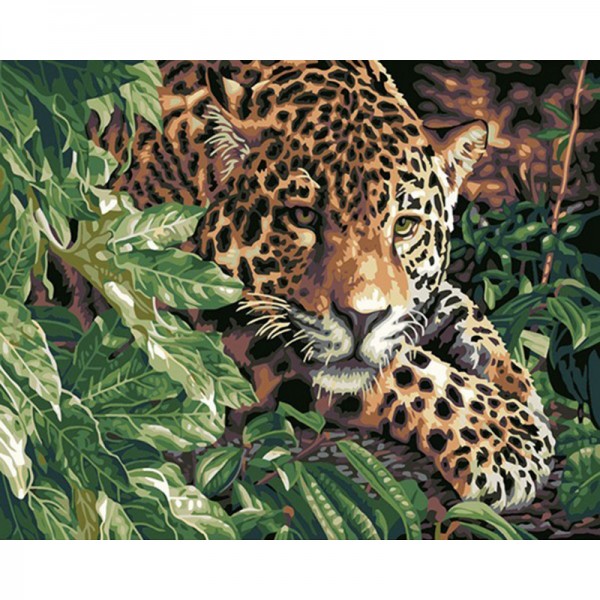 Leopard - Painting by Numbers Canada