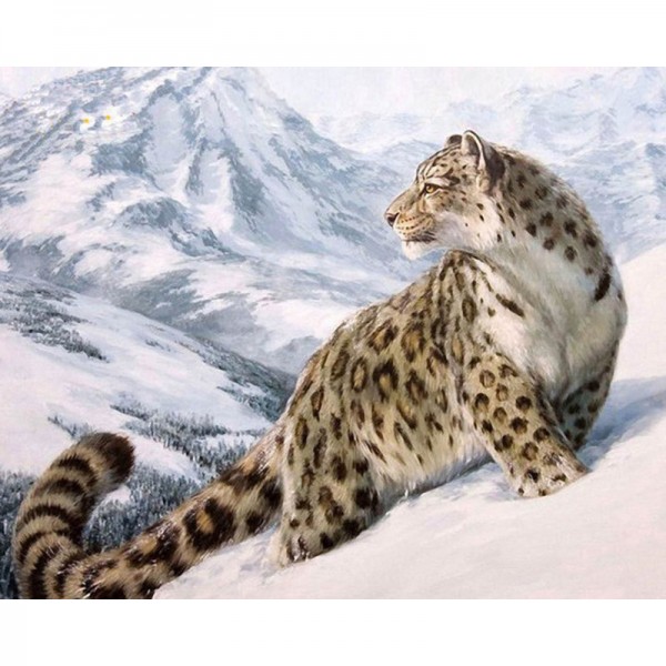 Snow Leopard - Painting by Numbers Canada