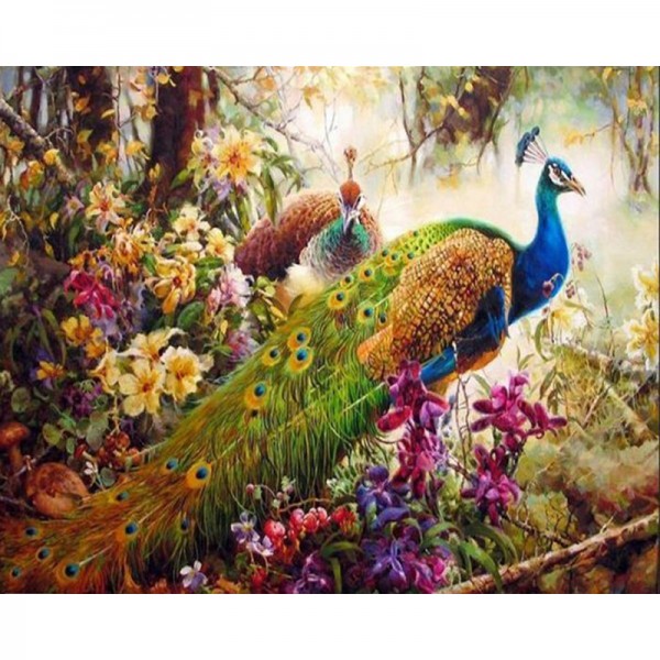 Beautiful Colorful Peacock - Painting by Numbers Canada