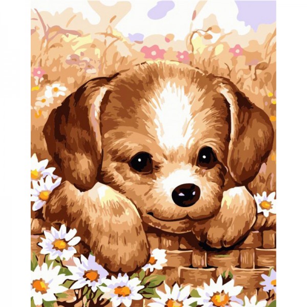 Dog & Flowers - Painting by Numbers Canada
