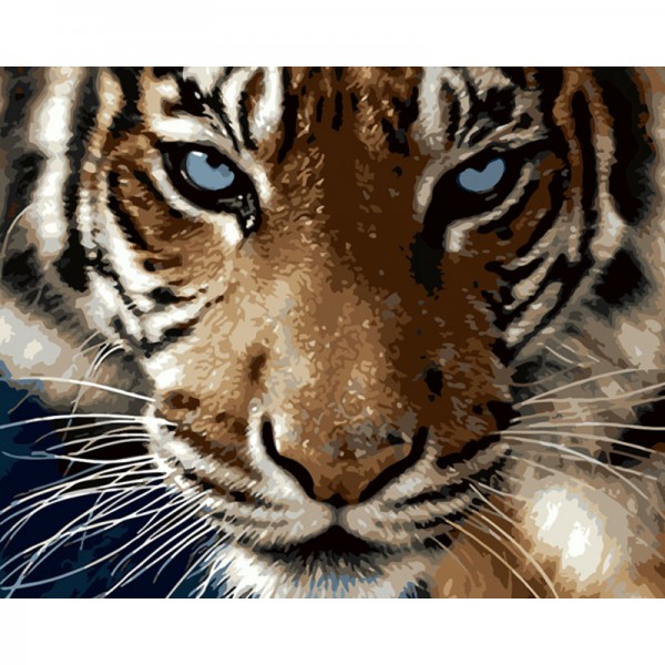 Tiger - Painting by Numbers Canada