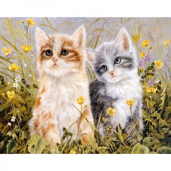 Two Cute Cats - Painting by Numbers Canada