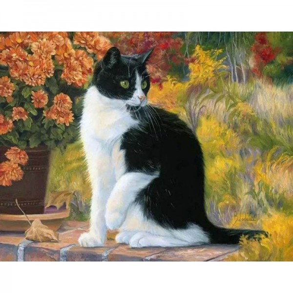 Black & White Cat - Painting by Numbers Canada