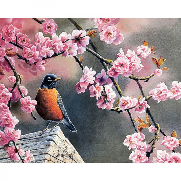 Cherry Blossom - Painting by Numbers Canada