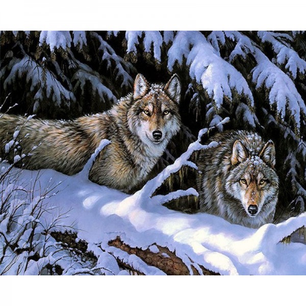 Snow Covered Trees and Wolves - Painting by Numbers Canada