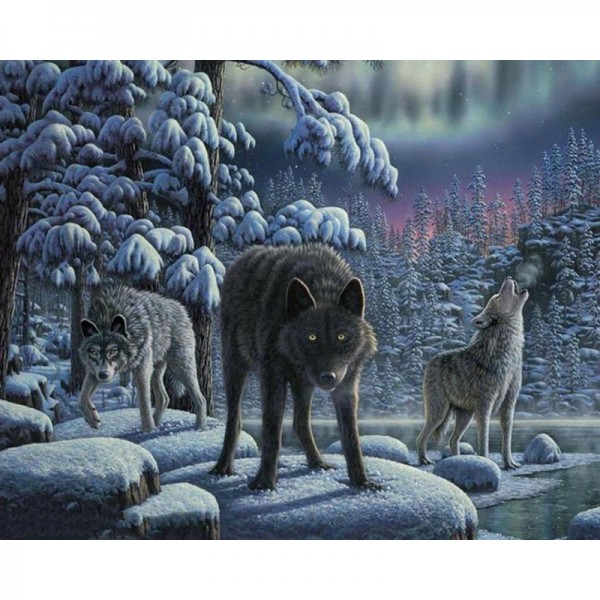 Wolves - Painting by Numbers Canada