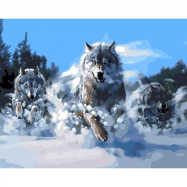 Wolves Running in Snow - Painting by Numbers Canada
