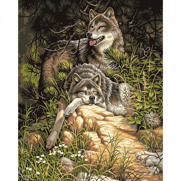 Wolves - Painting by Numbers Canada