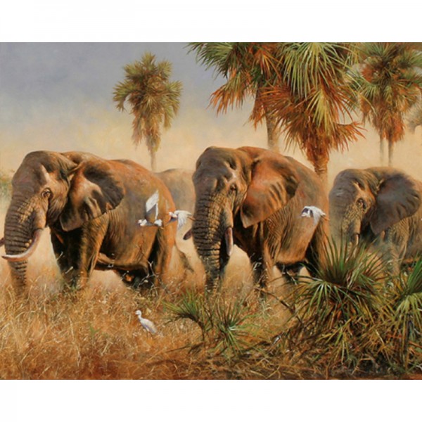 Group of Elephants - Painting by Numbers Canada
