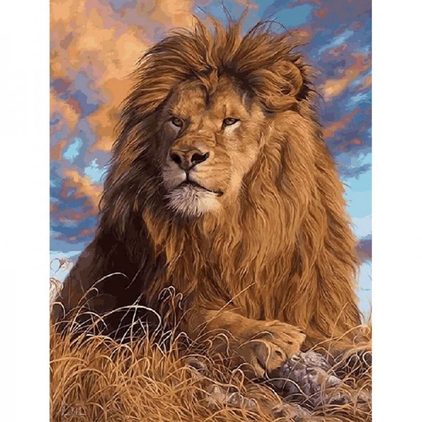 Lion - Painting by Numbers Canada