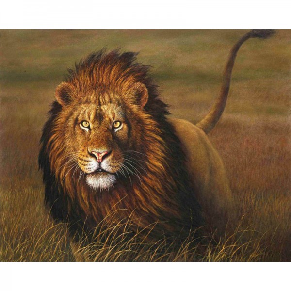 Animal Lion - Painting by Numbers Canada